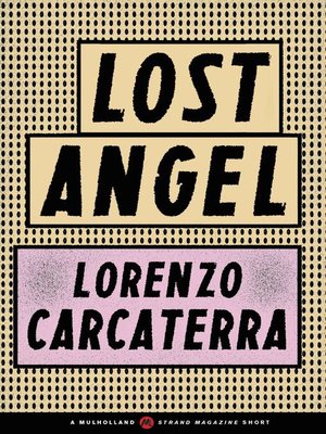 cover image of Lost Angel